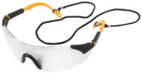 45069  Clear Safety Goggles (Industrial)
